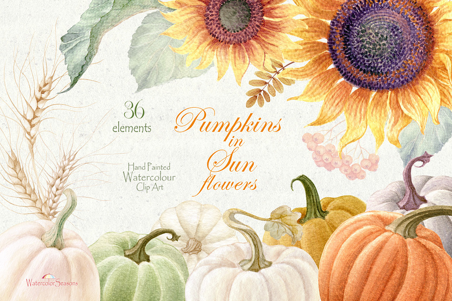 Pumpkins in Sunflowers elements  in Graphics - product preview 8
