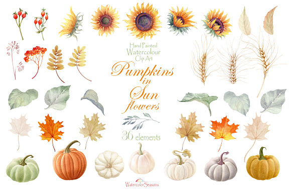 Pumpkins in Sunflowers elements  in Graphics - product preview 1