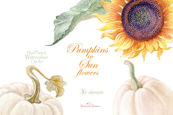 Pumpkins in Sunflowers elements  in Graphics - product preview 2
