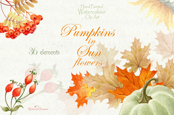 Pumpkins in Sunflowers elements  in Graphics - product preview 3