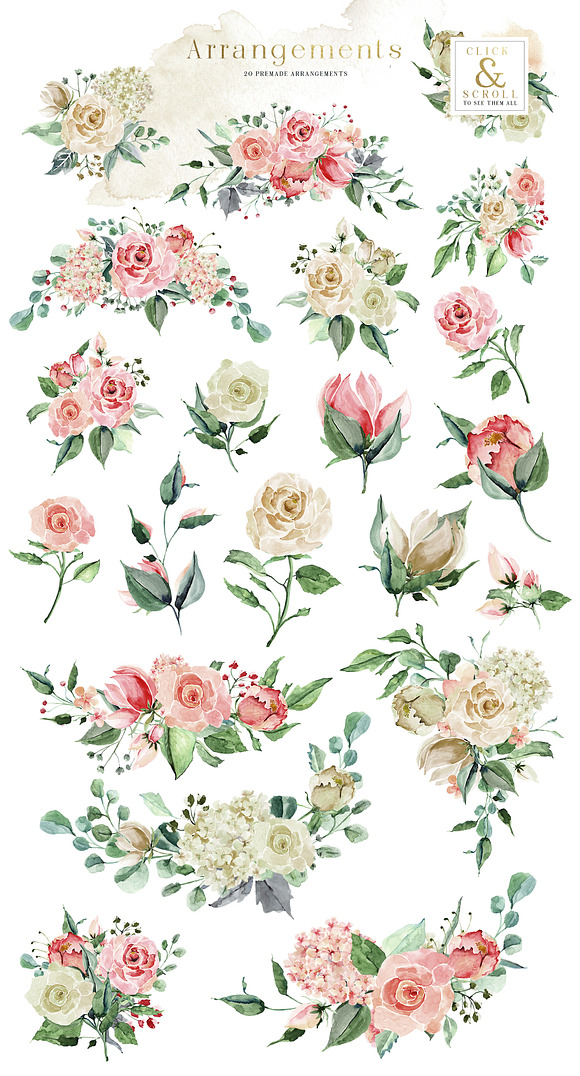 Creme & Rose Watercolor Set in Illustrations - product preview 9