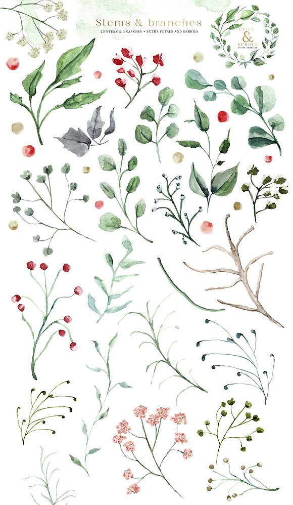 Creme & Rose Watercolor Set in Illustrations - product preview 13