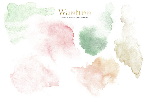 Creme & Rose Watercolor Set in Illustrations - product preview 15