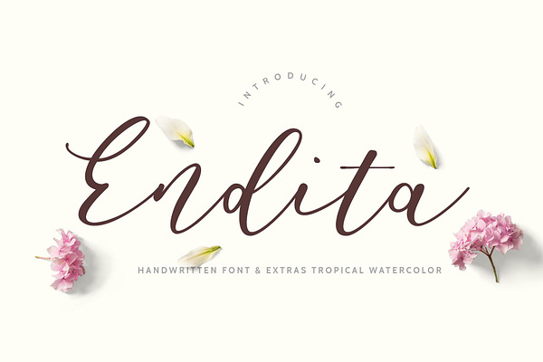 Endita Handwritten Font and Extras