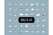 Cute dogs collection for your design