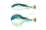 Fugu fish japanese puffer fish