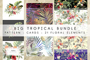 Big tropical bundle & 21 elements