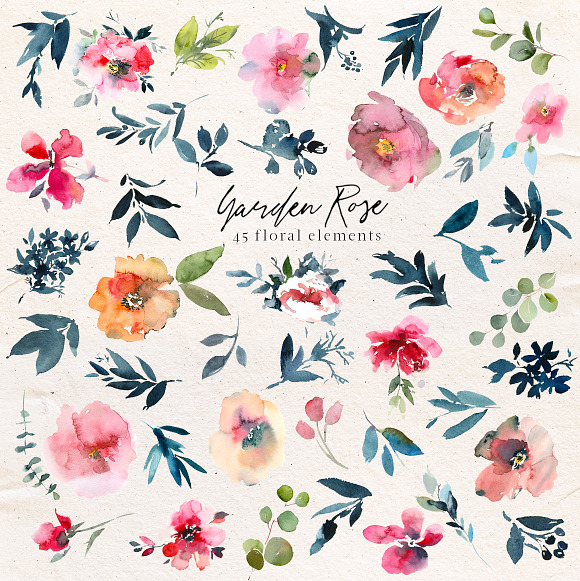 Garden Rose Watercolor Floral Kit in Illustrations - product preview 11