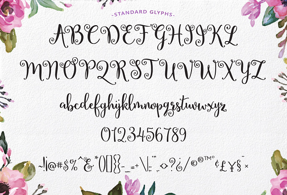 Lettres Douces Hand-Lettered Script in Script Fonts - product preview 1