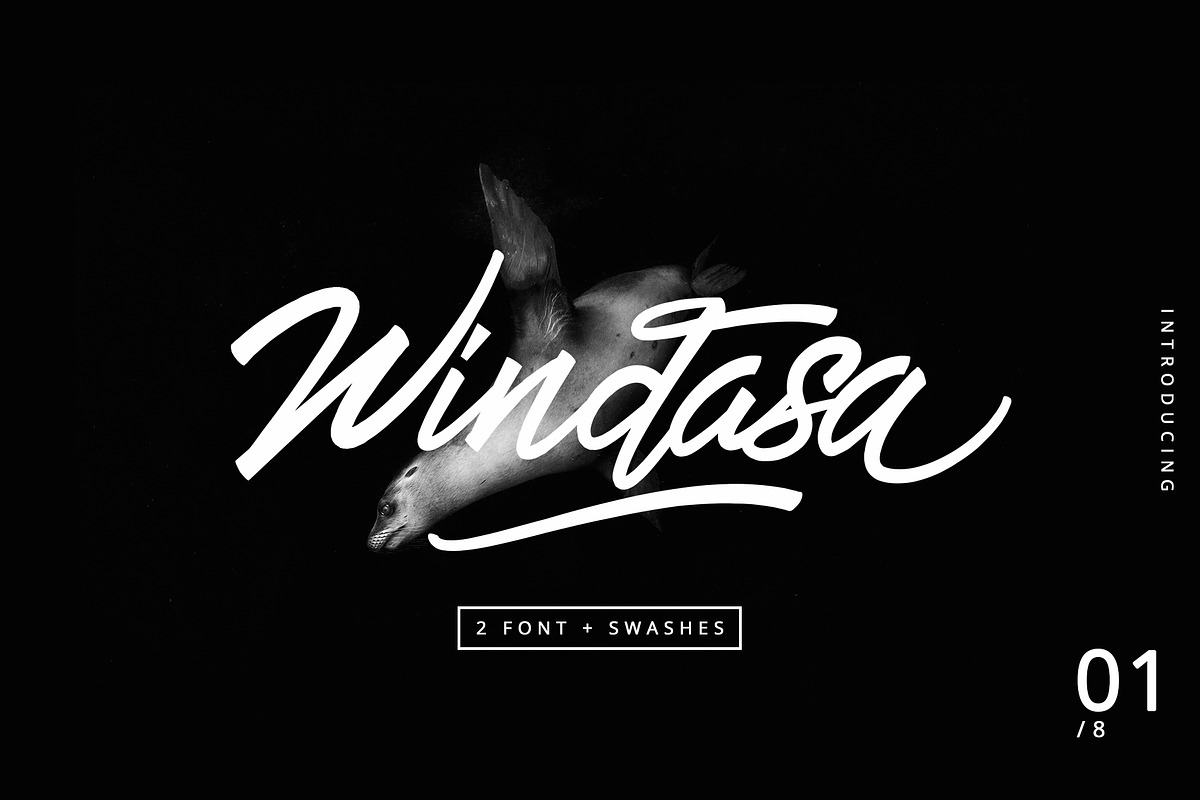 Windasa font in Display Fonts - product preview 8