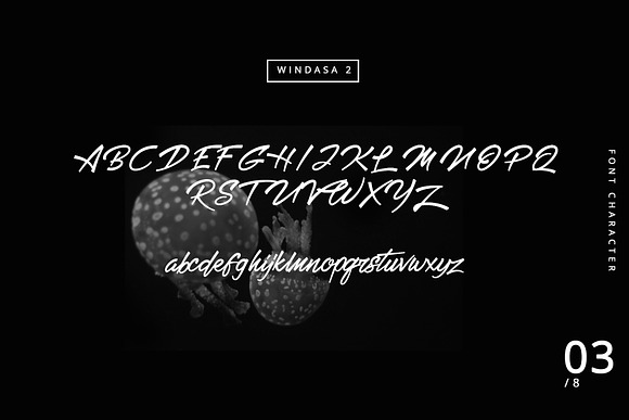 Windasa font in Display Fonts - product preview 2