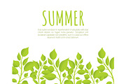 Summer Banner Template with Fresh