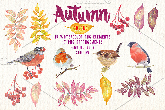watercolor autumn colors clipart in Illustrations - product preview 2
