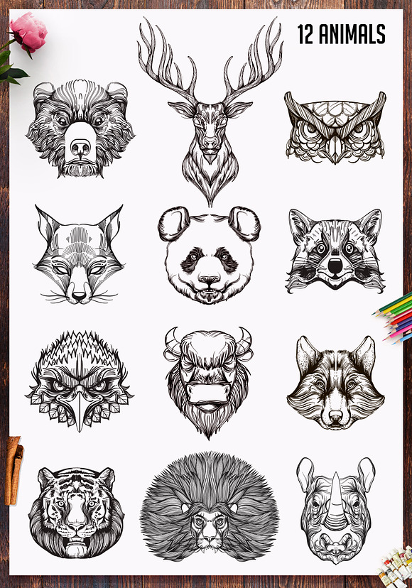 12 totemic animals in Illustrations - product preview 1