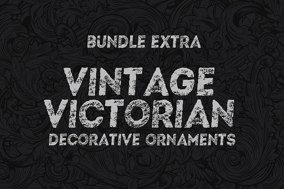 Vintage Logo Bundle 2nd Edition in Logo Templates - product preview 5