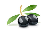 Two black olive with leaf