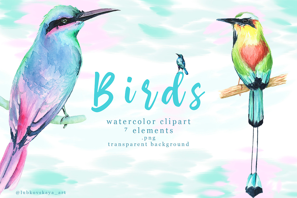 Watercolor Birds Clipart in Illustrations