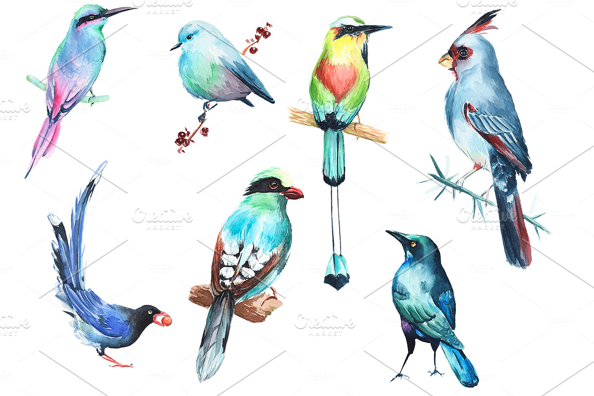 Watercolor Birds Clipart in Illustrations - product preview 1