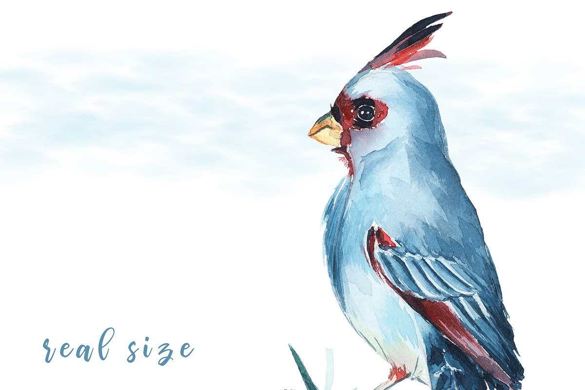 Watercolor Birds Clipart in Illustrations - product preview 2