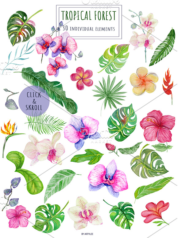 Tropical Forest Watercolor Set in Illustrations - product preview 1