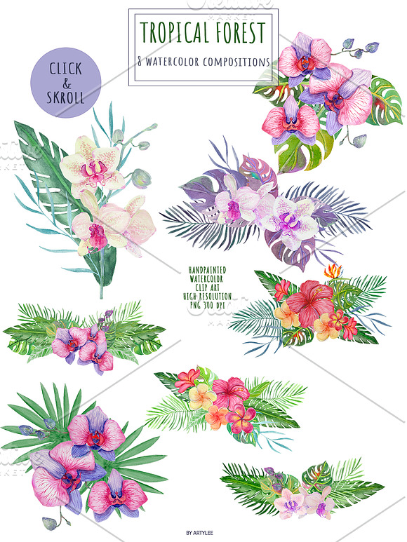 Tropical Forest Watercolor Set in Illustrations - product preview 2