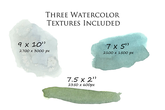 Pine Design Kit - Watercolor Clipart in Illustrations - product preview 4