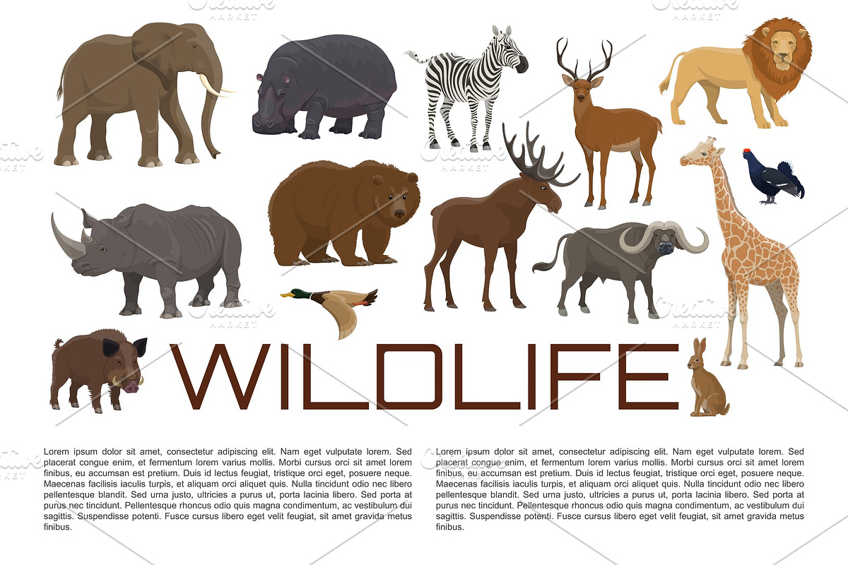Vector poster of wild animals in Illustrations - product preview 8