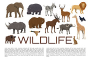 Vector poster of wild animals
