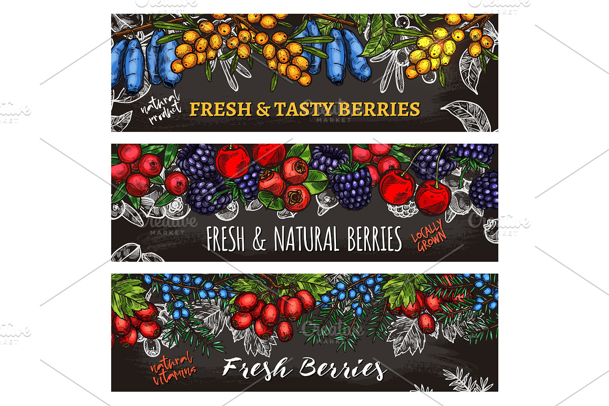 Banners of farm and forest berries in Illustrations - product preview 8