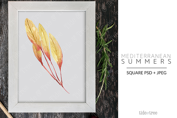 Med Summers | Square No. 4 in Instagram Templates - product preview 1