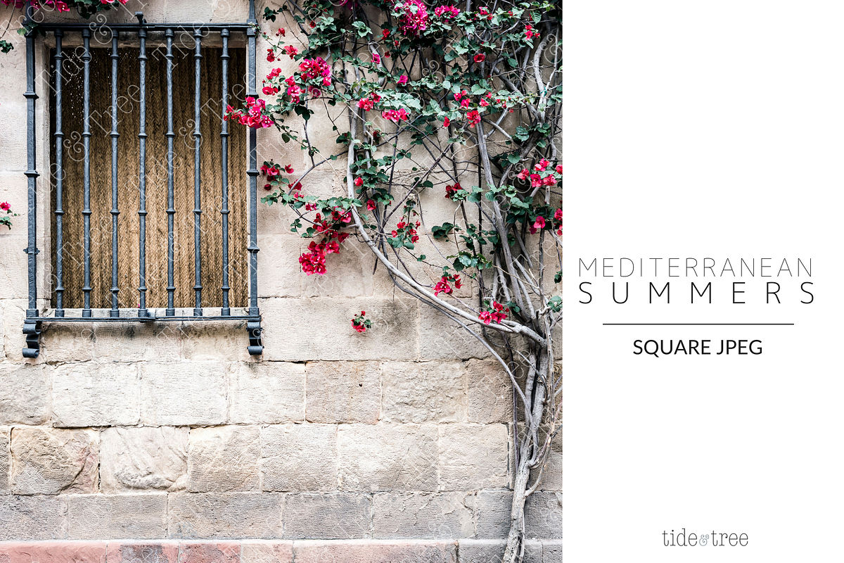 Med Summers | Square No. 14 in Instagram Templates - product preview 8