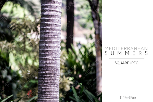Med Summers | Square No. 18