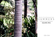 Med Summers | Square No. 18