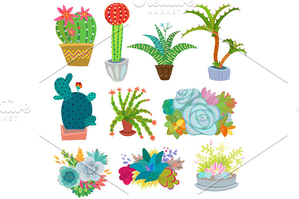 Cactus vector botanical cacti potted