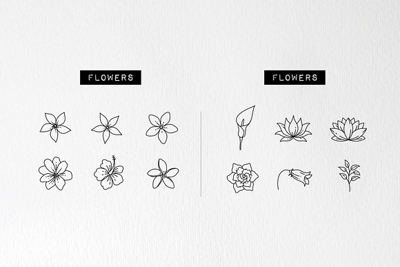 60 Plant & Floral Icons - Flower in Icons - product preview 4