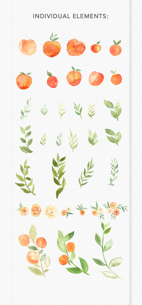 Watercolor Peaches + Greenery in Illustrations - product preview 1