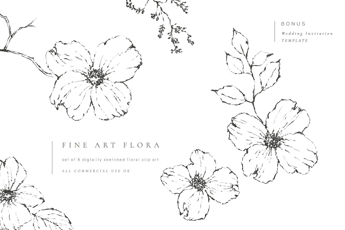 Fine Art Flora Clip Art in Illustrations - product preview 8