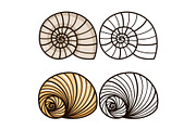 Cartoon and outline sea shells