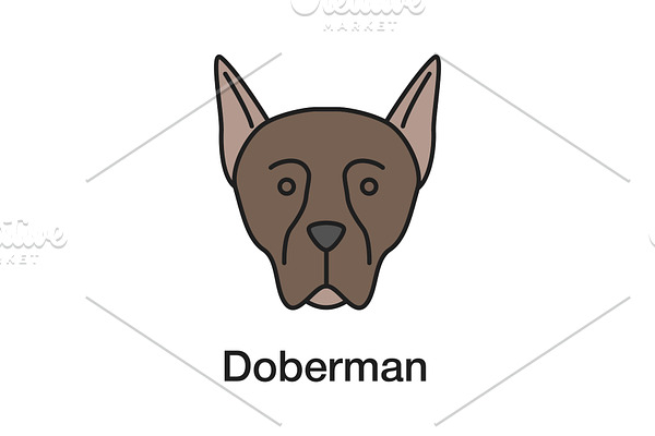 Doberman Pinscher color icon