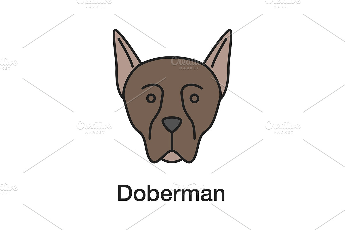 Doberman Pinscher color icon in Graphics - product preview 8