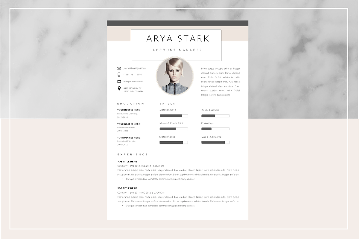 Ayra Stark Resume Template in Resume Templates - product preview 8