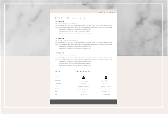 Ayra Stark Resume Template in Resume Templates - product preview 1