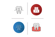 Tooth anatomical structure icon