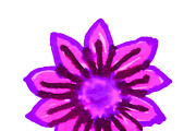 Isolated Flower Sketch Drawing