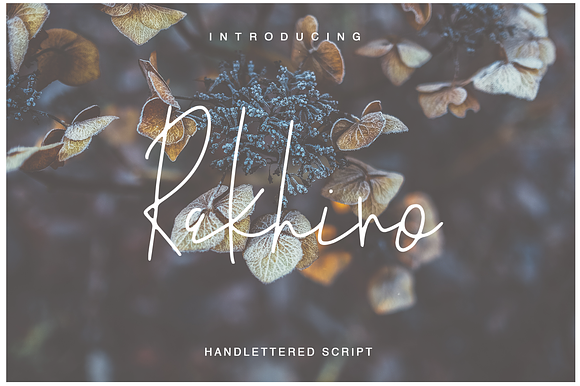 Rakhino (90% off) in Script Fonts - product preview 5