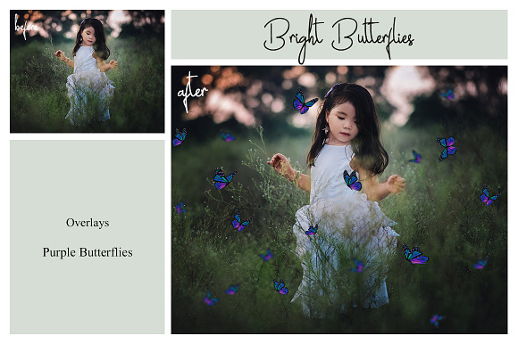 80 Colorful Butterfly Overlays in Photoshop Layer Styles - product preview 1