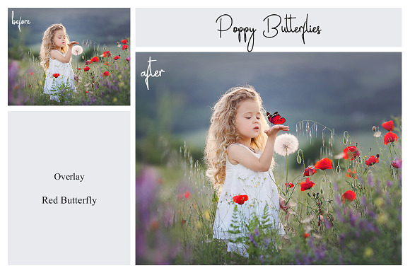 80 Colorful Butterfly Overlays in Photoshop Layer Styles - product preview 2
