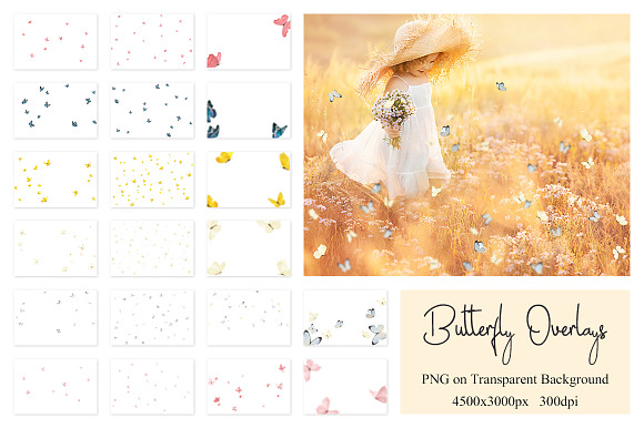 80 Colorful Butterfly Overlays in Photoshop Layer Styles - product preview 8