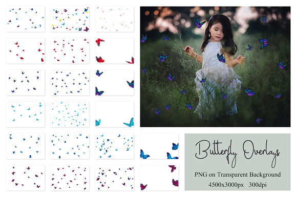 80 Colorful Butterfly Overlays in Photoshop Layer Styles - product preview 9