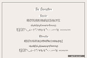 The Beloved Co. | Font Collection